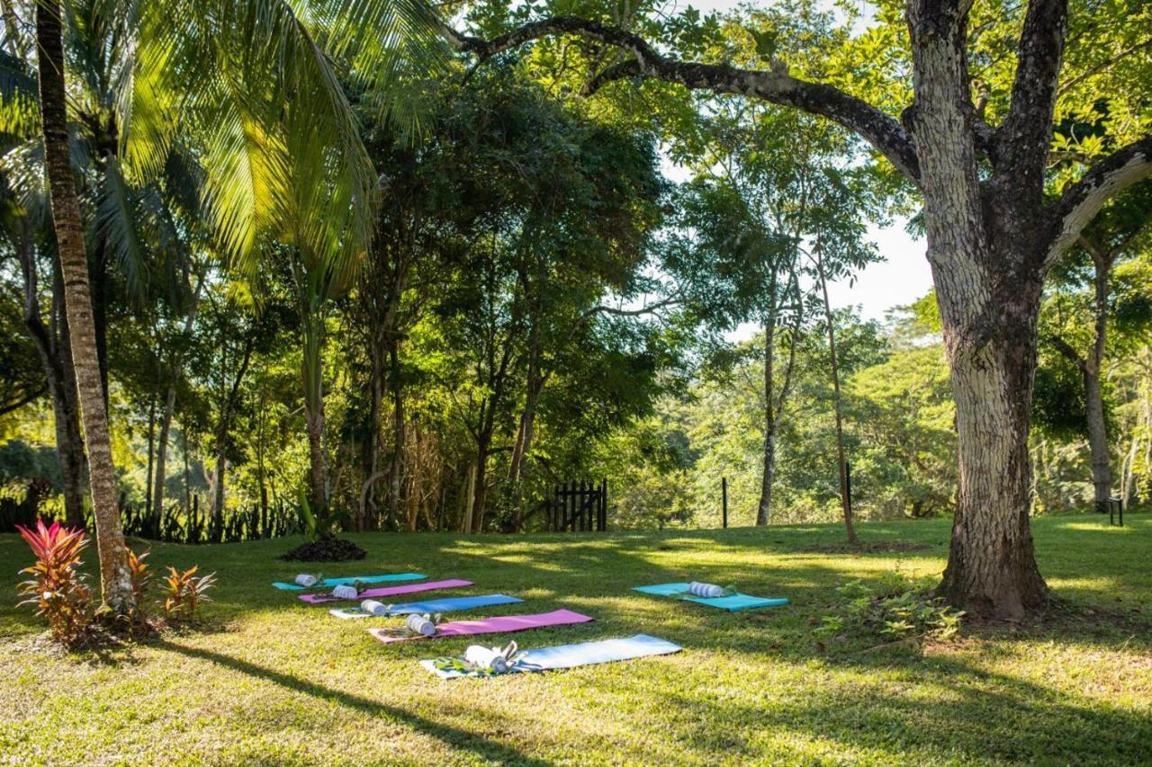 Sweet Songs Jungle Lodge San Ignacio Exterior foto