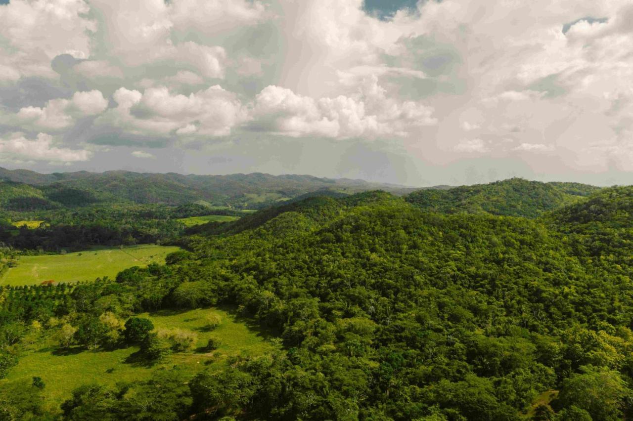Sweet Songs Jungle Lodge San Ignacio Exterior foto