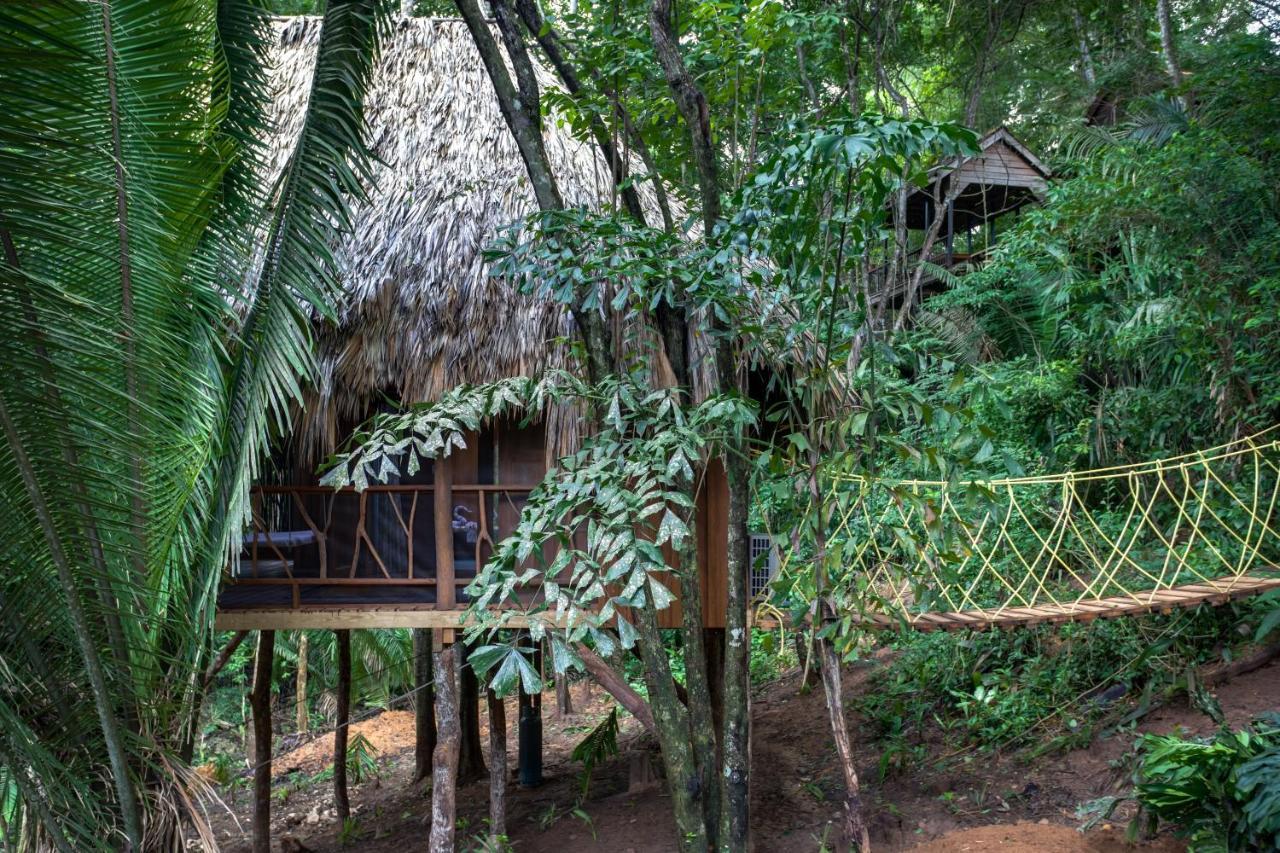 Sweet Songs Jungle Lodge San Ignacio Exterior foto