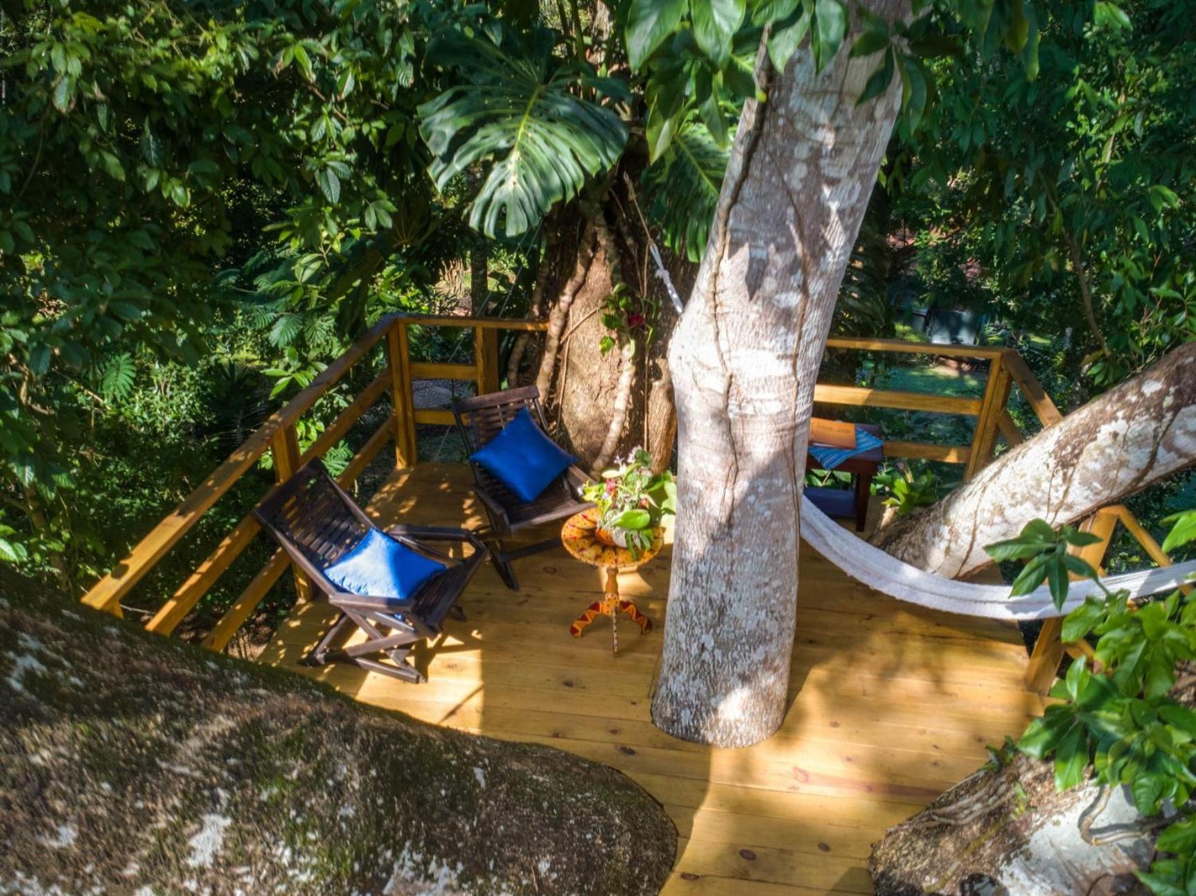 Sweet Songs Jungle Lodge San Ignacio Exterior foto