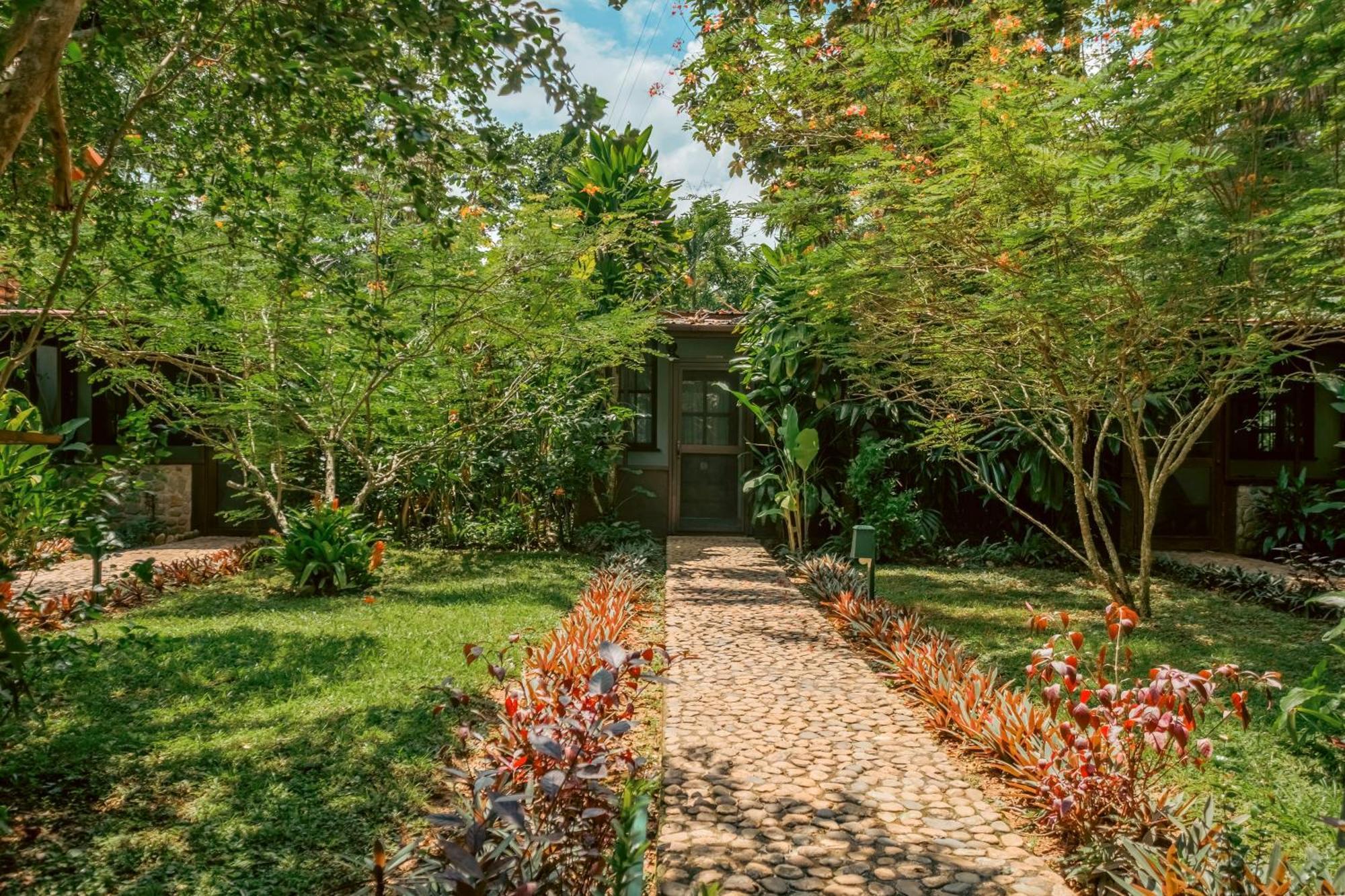 Sweet Songs Jungle Lodge San Ignacio Exterior foto