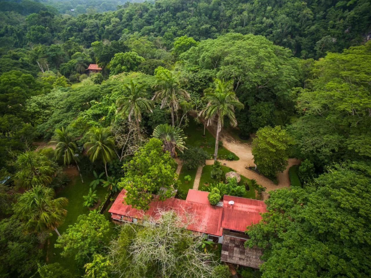 Sweet Songs Jungle Lodge San Ignacio Exterior foto