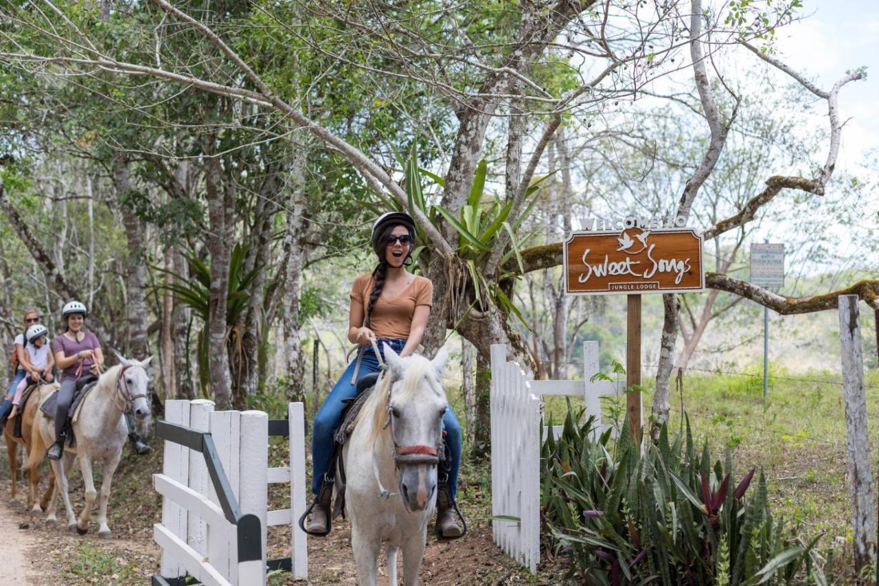 Sweet Songs Jungle Lodge San Ignacio Exterior foto