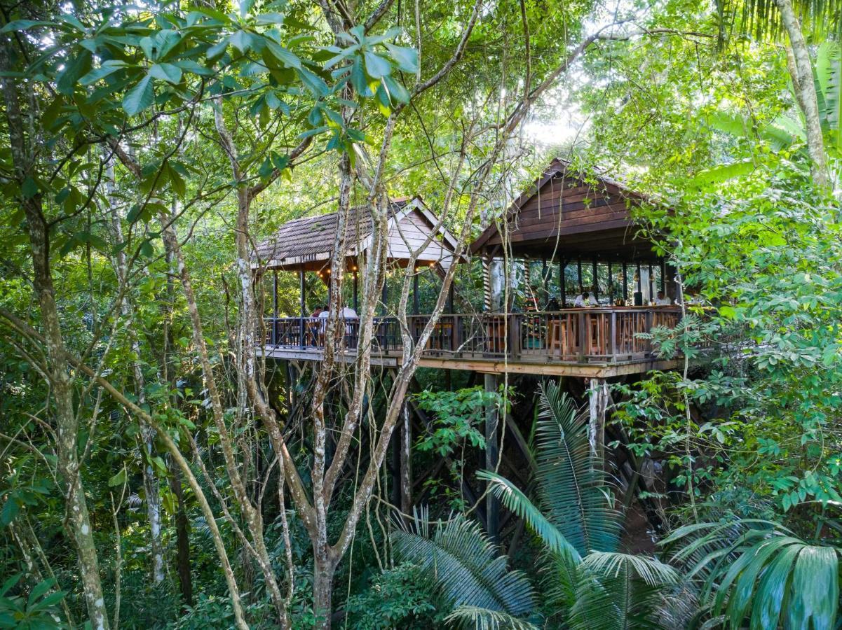 Sweet Songs Jungle Lodge San Ignacio Exterior foto